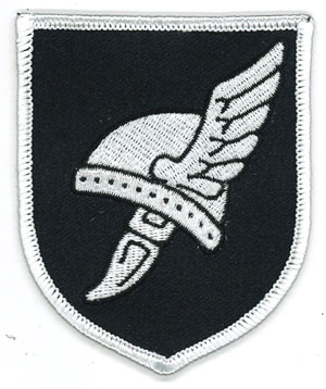 38th Waffen SS Division Nibelungen patch